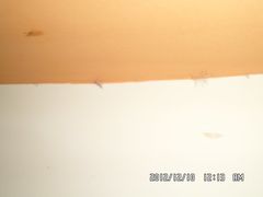 SAM_0382-慧闻酒店(苏州拙政园店)