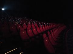 -SFC上影影城(杭州下沙IMAX店)