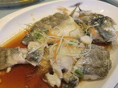 清蒸鲈鱼-三元宾馆-中餐厅
