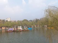 -翠湖公园
