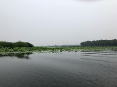 -白洋淀景区