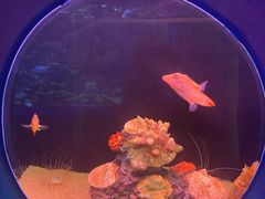 -欢乐海岸海洋奇梦馆