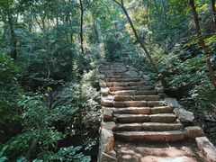 -大岭沟猕猴桃谷风景区