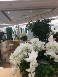 -In Style造型