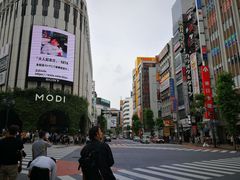 -涩谷区