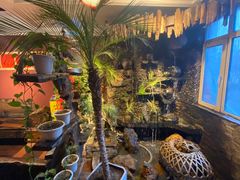 -大匠工房古船木艺术餐厅·猪肚鸡专门店(长白仙岛店)