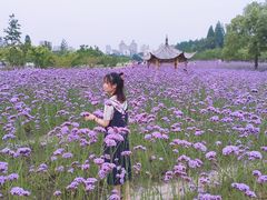 -杭州城北体育公园