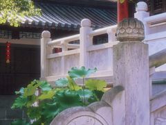 -灵谷景区