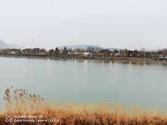 -羊山湖公园