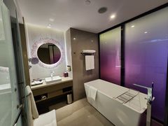 -南京禄口机场雅高铂尔曼大酒店