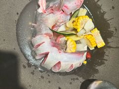 鲜潭蒸汽石锅江团鱼-鲜潭蒸汽石锅鱼(五道口购物中心店)