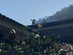 -鼎湖山风景区
