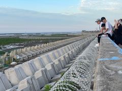 -南汇嘴观海公园