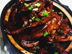红烧鸭脚煲-海宁煲农家菜(惠南镇店)