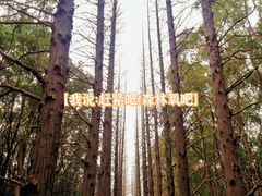 -同里国家湿地公园