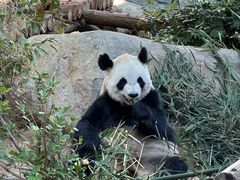 -泉州海丝野生动物世界