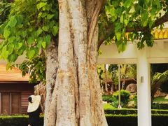 -三亚南山文化旅游区