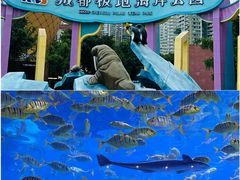 -海合安成都极地海洋公园