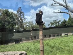 -上海野生动物园