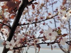 -南北湖风景区