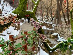 -云丘山景区