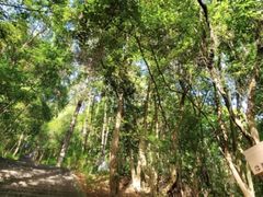 -神光山国家森林公园