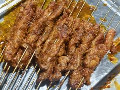 -韩马老王烧烤(西二路店)