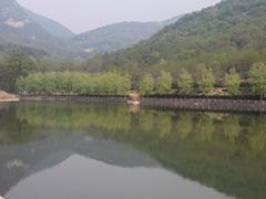 -鲁山国家森林公园