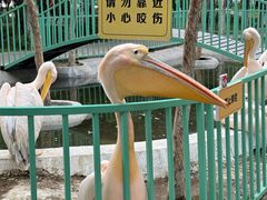 -水上乐园·欢乐世界