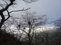 -泰山风景名胜区