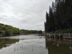 -三水森林公园