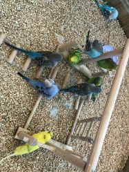 -思诺卡儿童俱乐部(东方广场店)