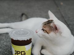-JPG canteen(广州东山口店)