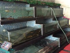 水产区-巴陵全鱼席(湖南老字号汴河街店 )