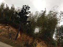 -山沟沟景区