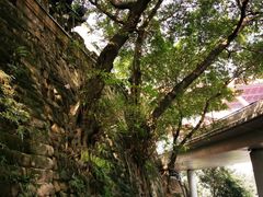 -湖广会馆-东水门及古城墙