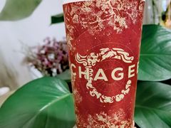 -霸王茶姬(东方新天地店)