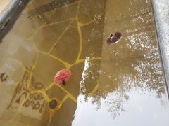 -仁爱团泊湖温泉中心