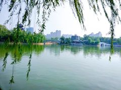 -迎泽公园