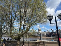 -莎士比亚环球剧场