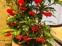 -海逸海鲜酒家(古北店)