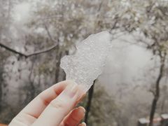 -缙云山景区