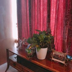 -TIME SPA科技美肤机构