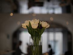 -Seesaw Coffee(上生新所店)