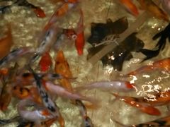 android_upload_pic-杭州水知情足浴SPA(苏州店)