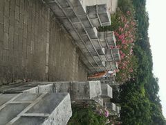 -松山湖梦幻百花洲