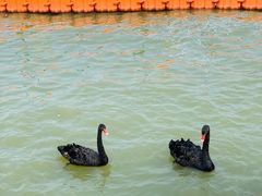 -天津东丽湖风景区