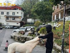 -巴倒烫陆派火锅山庄(南山总店)