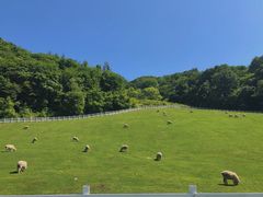 -景福宫