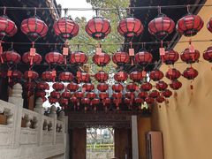 -亭林园-华藏寺